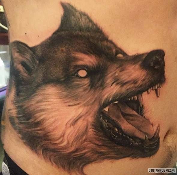 Фотография татуировки под названием «Волк с белыми глазами»