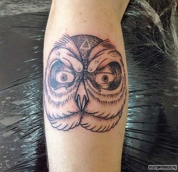 Фотография татуировки под названием «Лицо совы»