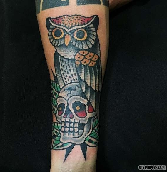 Фотография татуировки под названием «Сова на черепе»