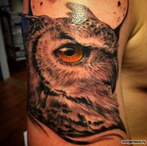 Фотография татуировки под названием «Сова с оранжевым глазом»