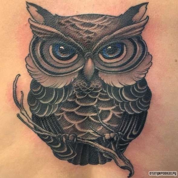 Фотография татуировки под названием «Совенок с синими глазами»