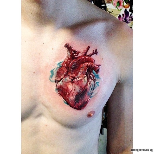 Фотография татуировки под названием «Сердце с капилярами»
