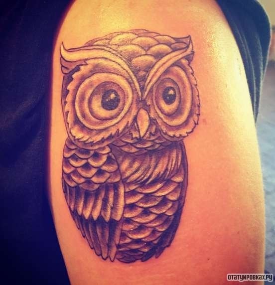 Фотография татуировки под названием «Сова с большими глазами»