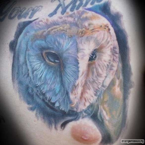 Фотография татуировки под названием «Сова - лицо»