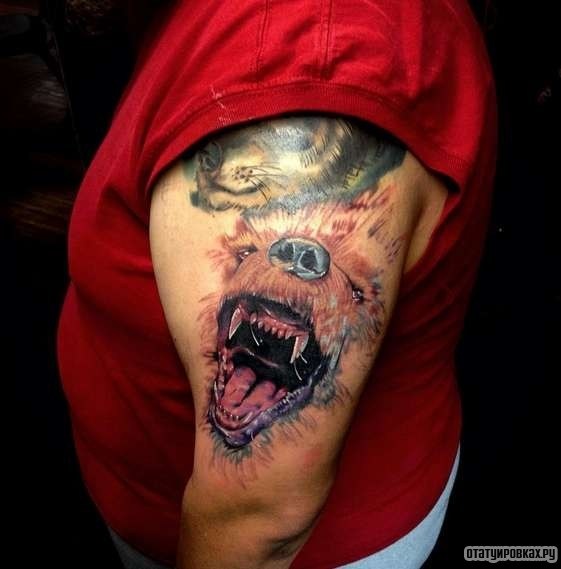 Фотография татуировки под названием «Очертания оскала медведя»