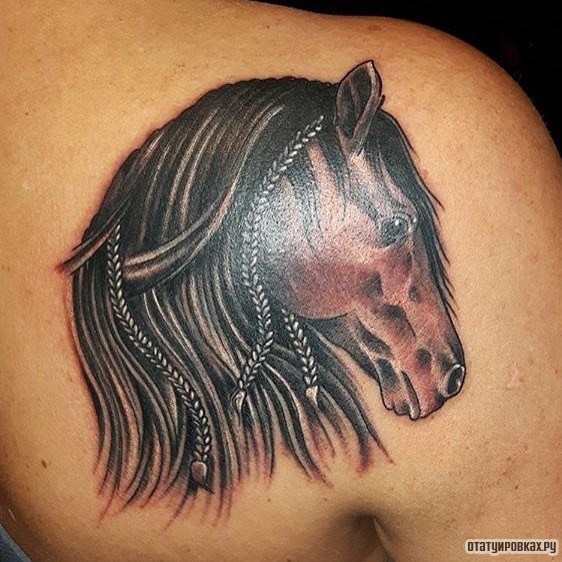 Фотография татуировки под названием «Лошадь с черной гривой»