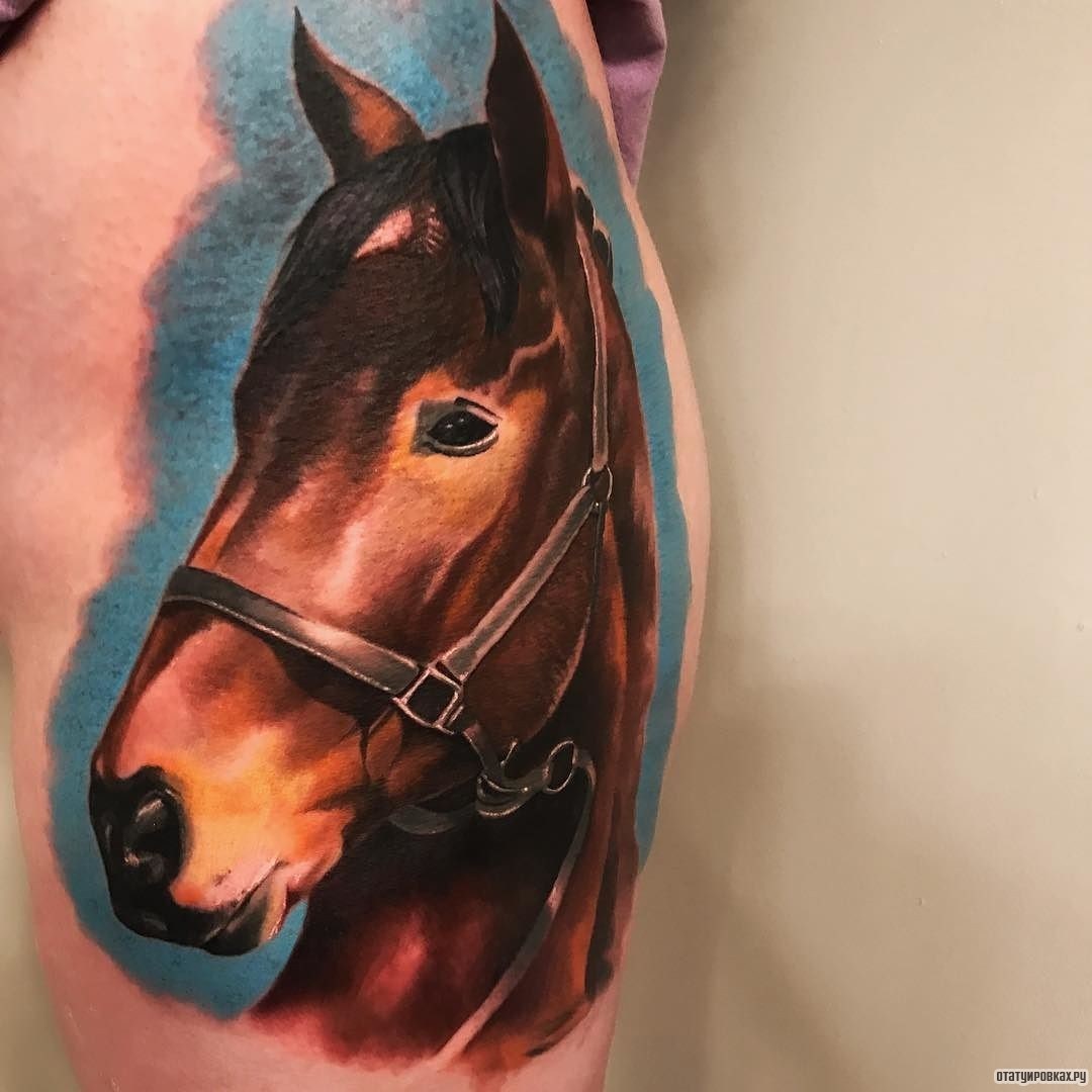 Фотография татуировки под названием «Портрет лошади»