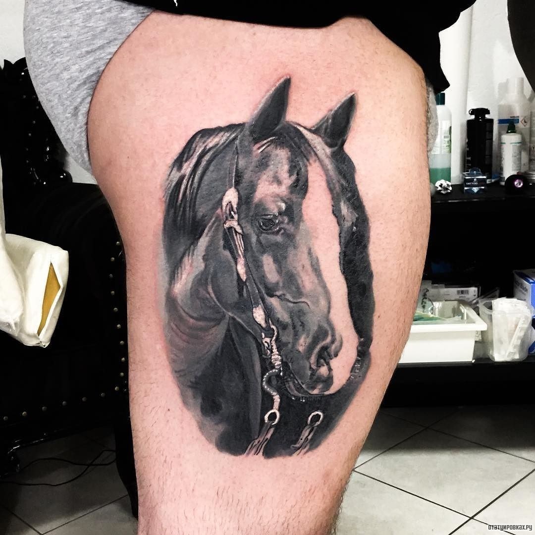 Фотография татуировки под названием «Лошадь в память»