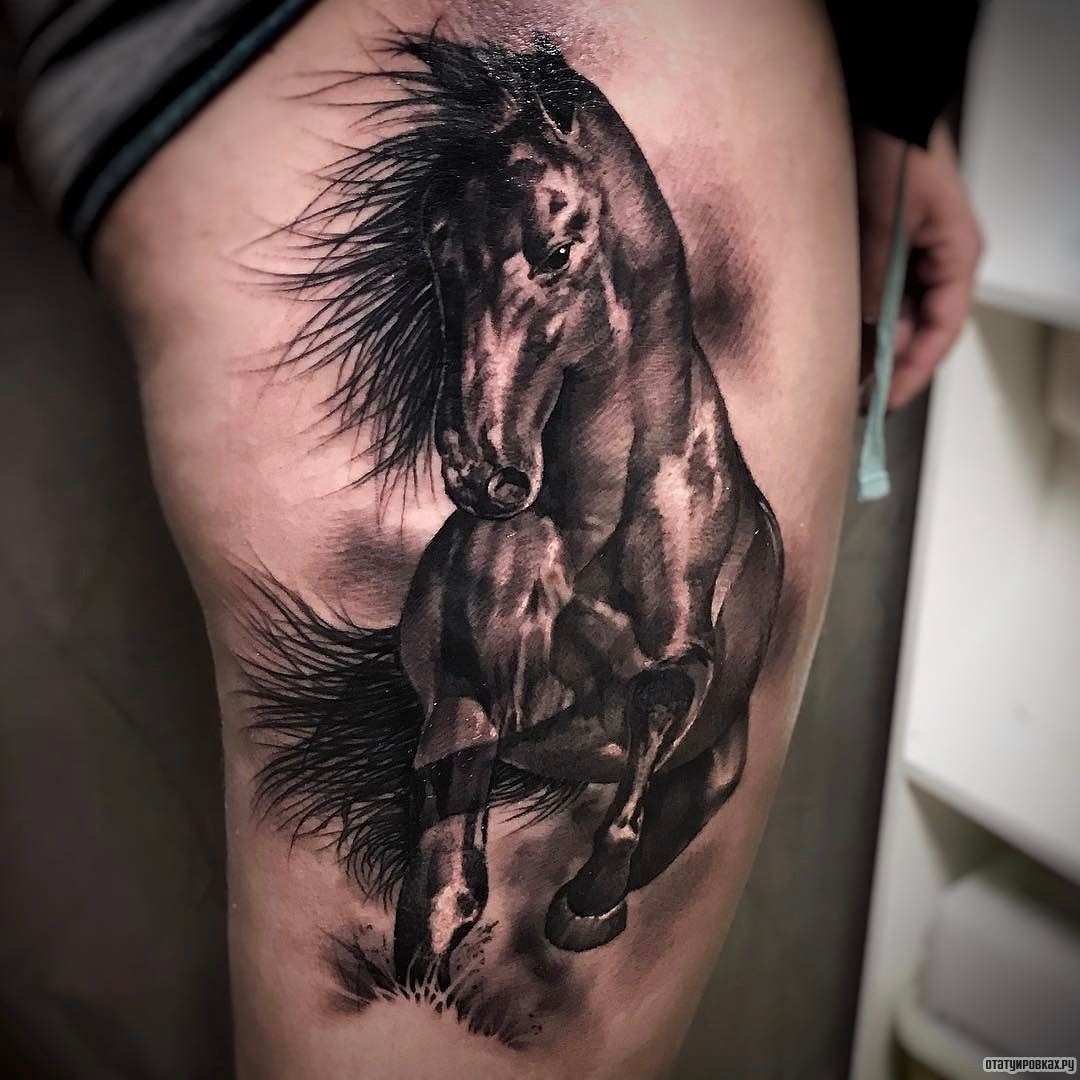Фотография татуировки под названием «Конь в движении»