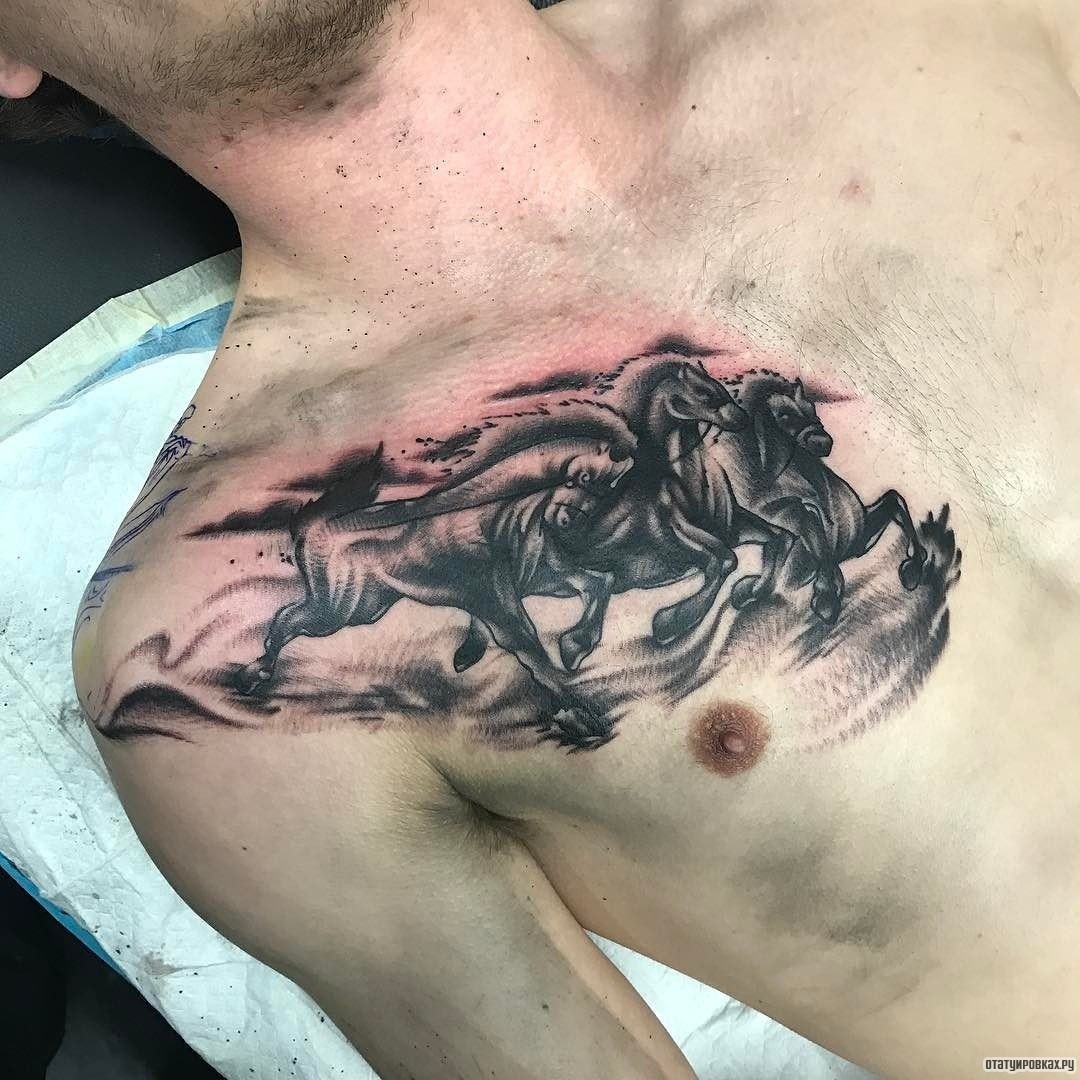 Фотография татуировки под названием «Три лошади в поле»