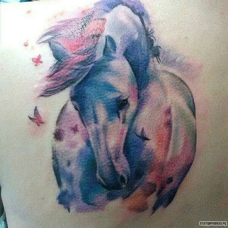 Фотография татуировки под названием «Лошадь в ярких красках с бабочками»