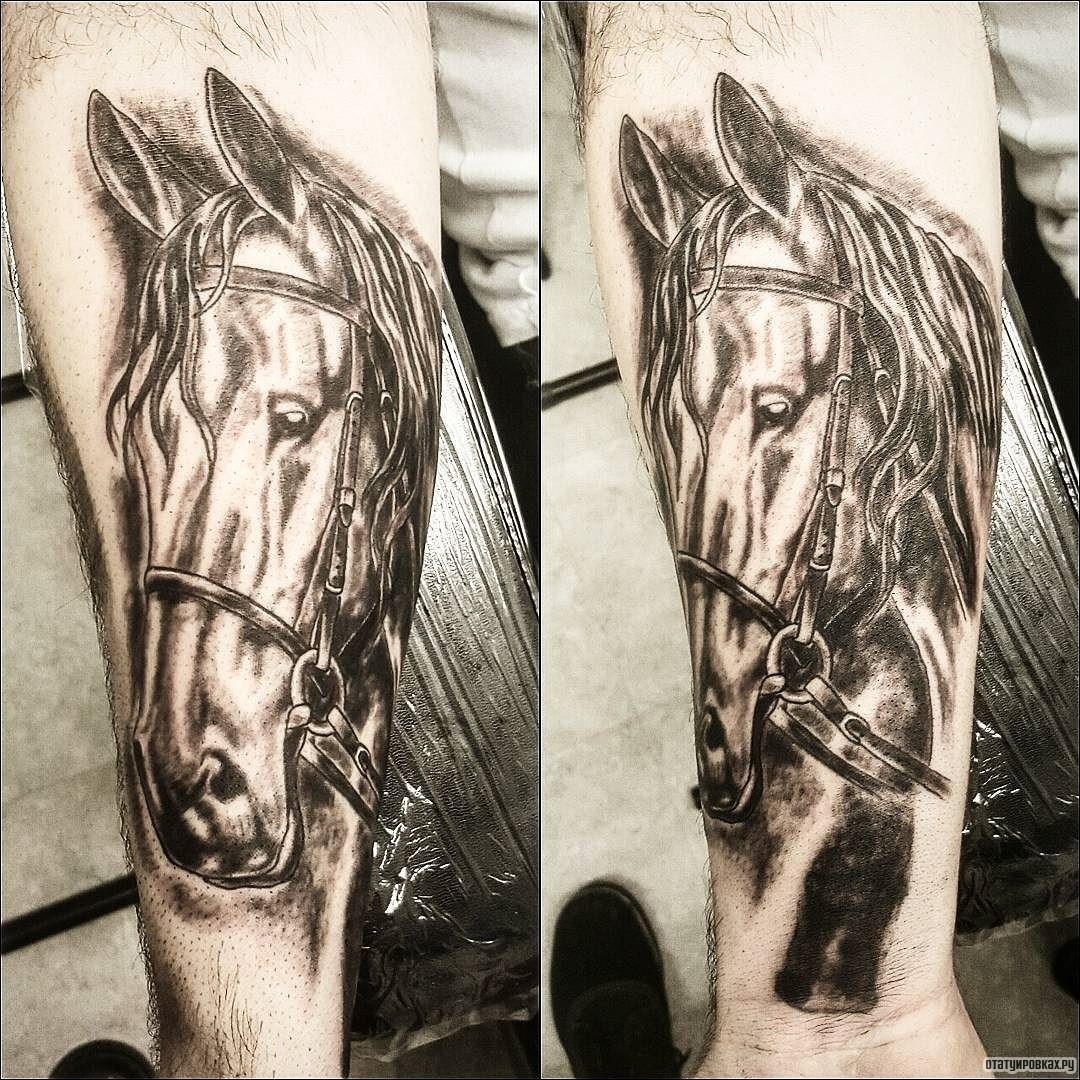 Фотография татуировки под названием «Лошадь в упряжке»