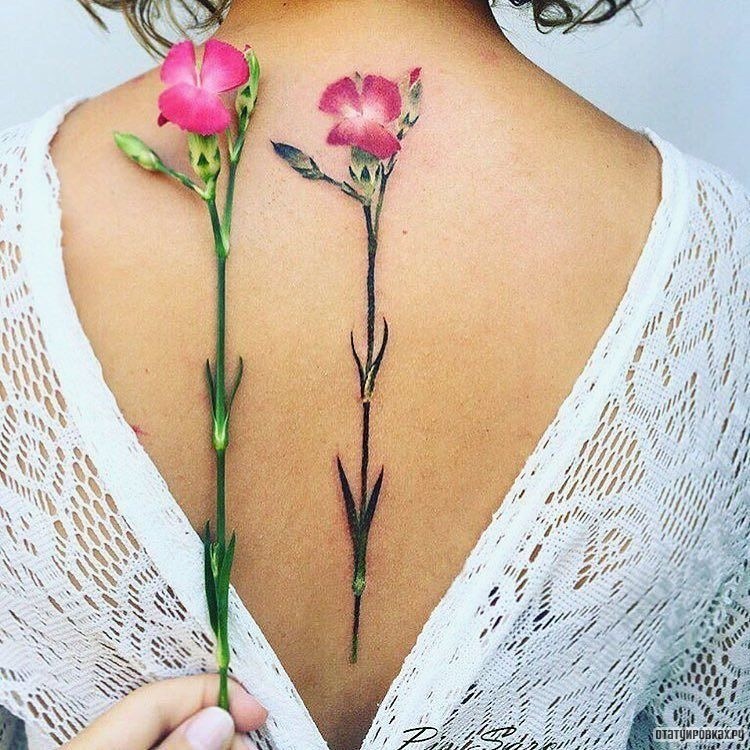 Фотография татуировки под названием «Цветок орхидея»