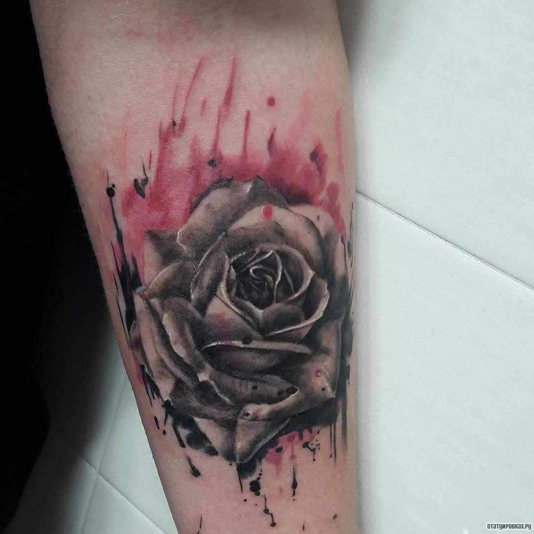 Фотография татуировки под названием «Роза с красным фоном»