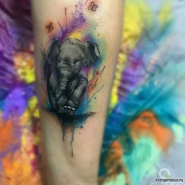 Фотография татуировки под названием «Слоник в красках»