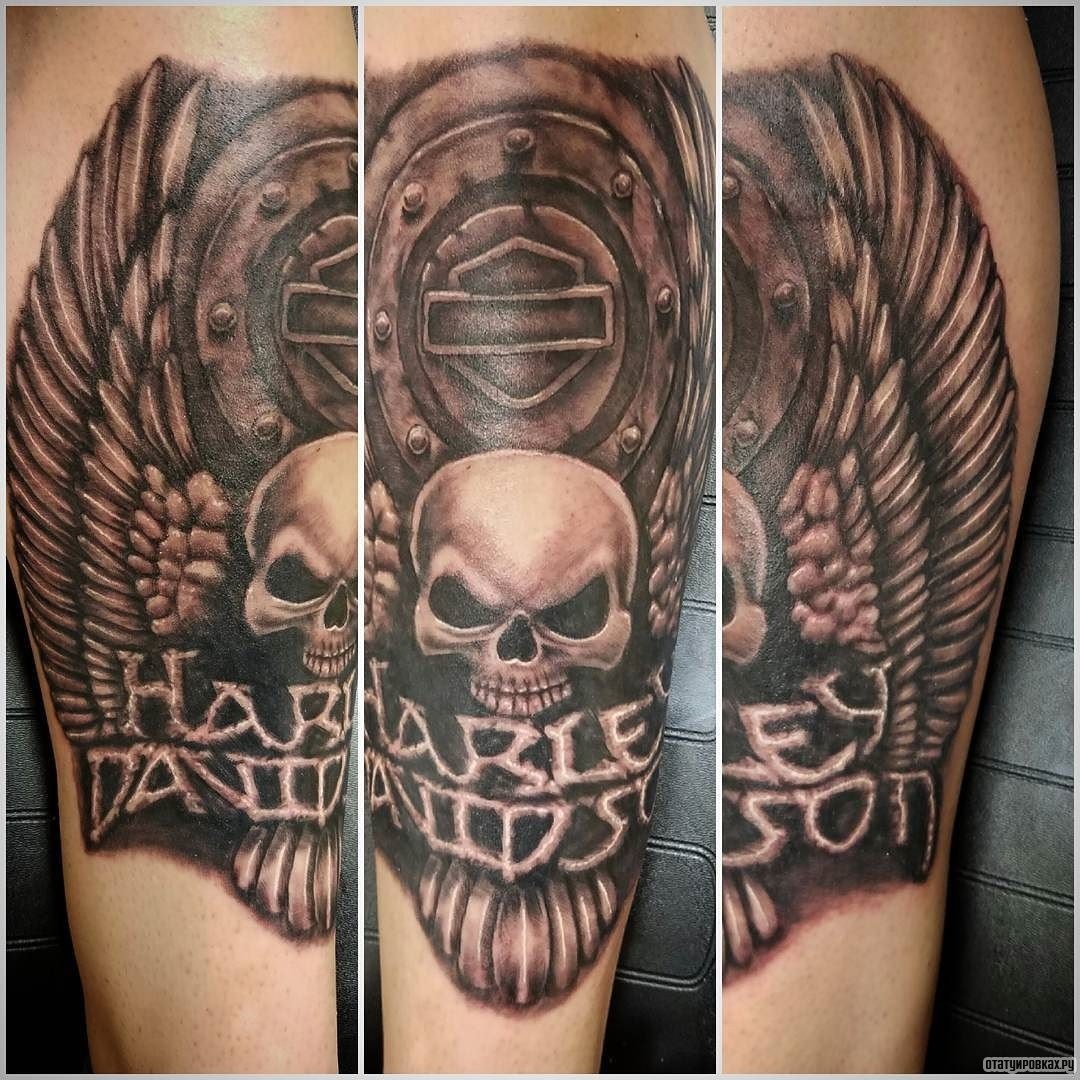 Фотография татуировки под названием «Череп с крыльями и надписью»