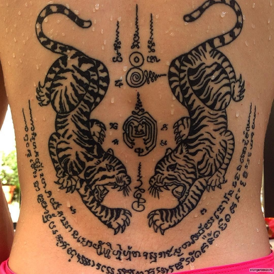 Фотография татуировки под названием «Два тигра и надписи»