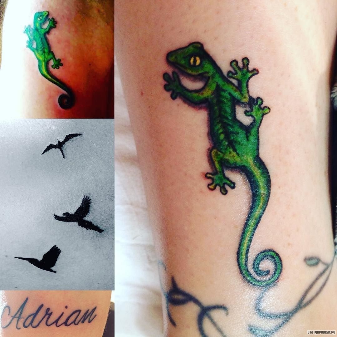 Фотография татуировки под названием «Зеленая ящерица»