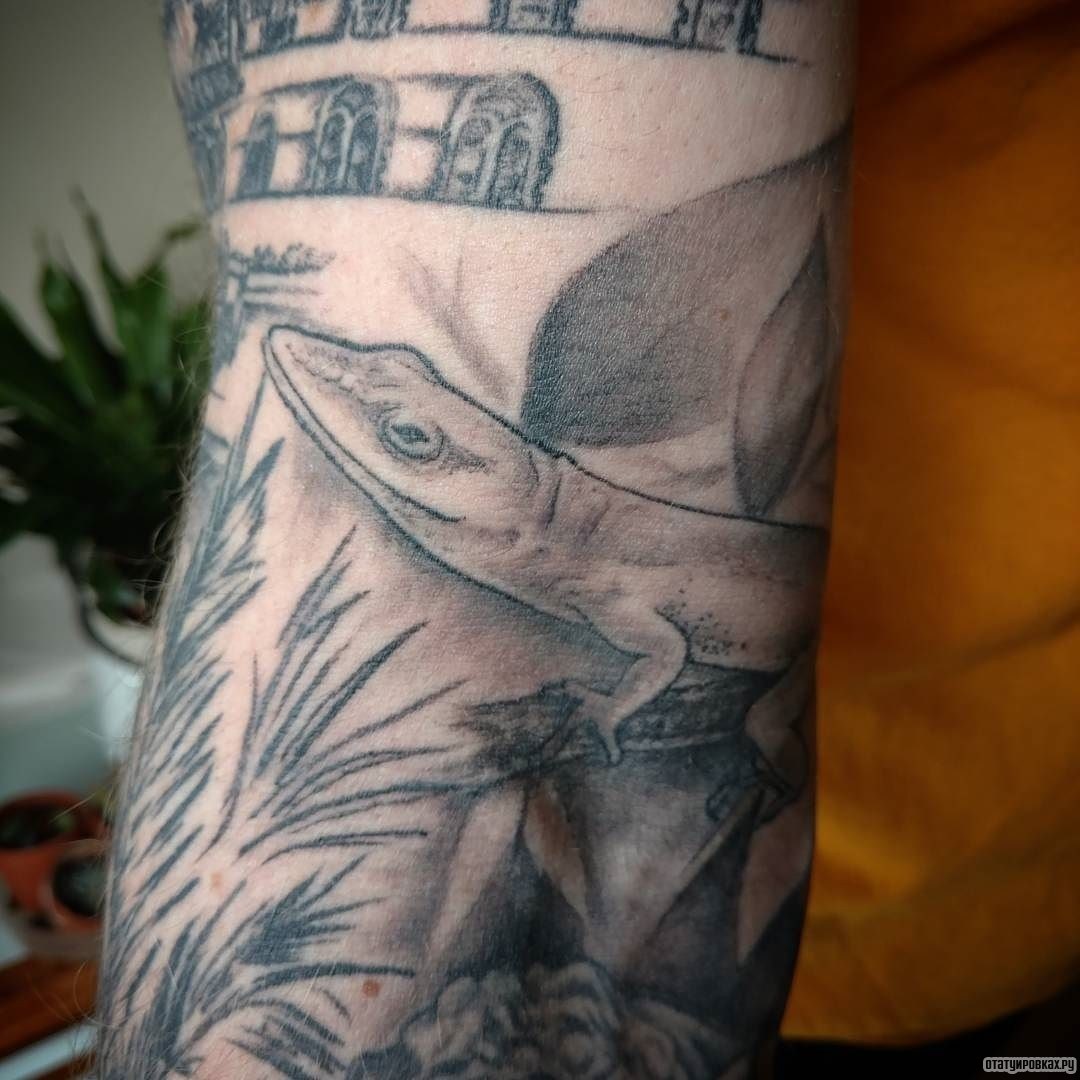 Фотография татуировки под названием «Ящерица в траве»