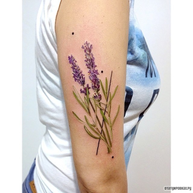Фотография татуировки под названием «Сиреневые полевые цветы»