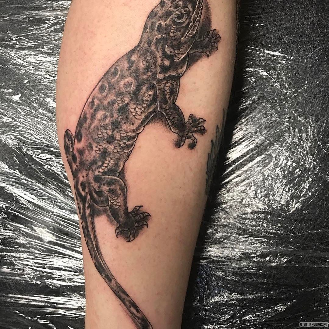 Фотография татуировки под названием «Большая ящерица»