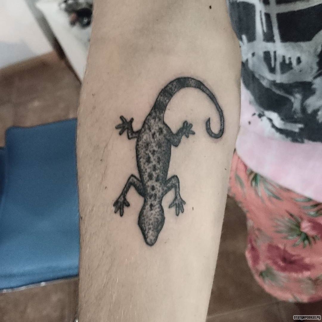 Фотография татуировки под названием «Ящерица в темных тонах»