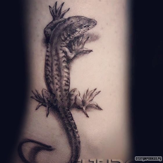 Фотография татуировки под названием «Ящерица с тенью»