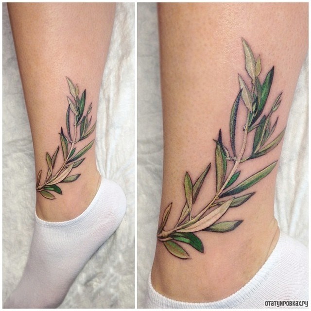 Фотография татуировки под названием "Ветка полевого растения" .