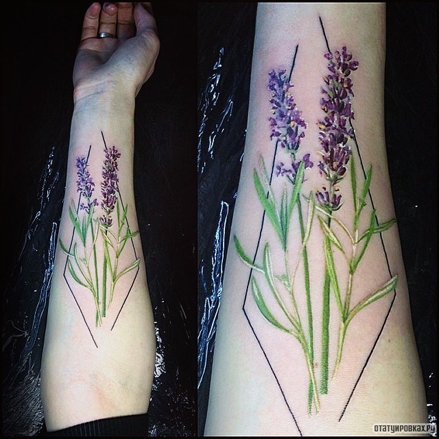 Фотография татуировки под названием «Полевые сиреневые цветы с геометрией»