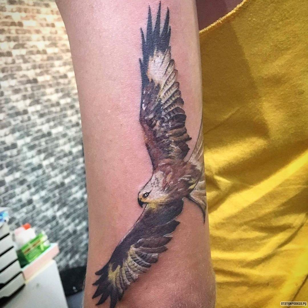 Фотография татуировки под названием «Сокол в полете»