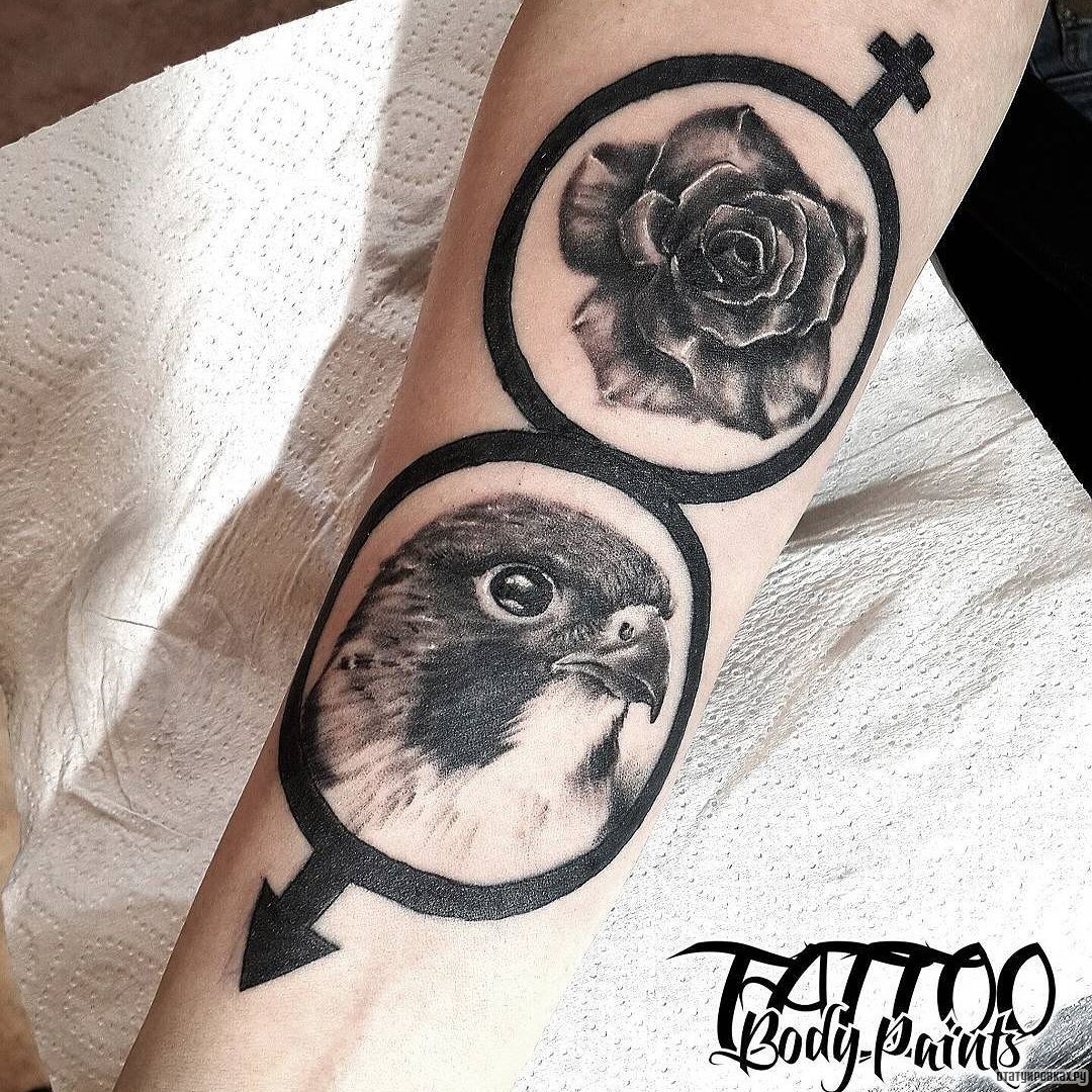 Фотография татуировки под названием «Сокол роза, знак мужчина и женщина»