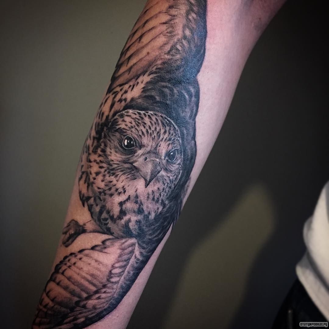 Фотография татуировки под названием «Сокол в полете»