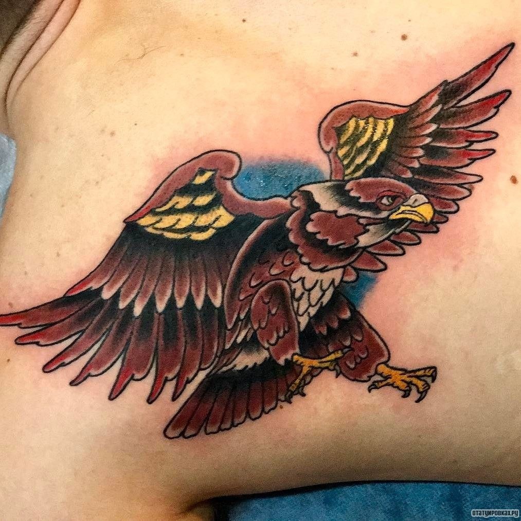 Фотография татуировки под названием «Коричневый сокол в полете»