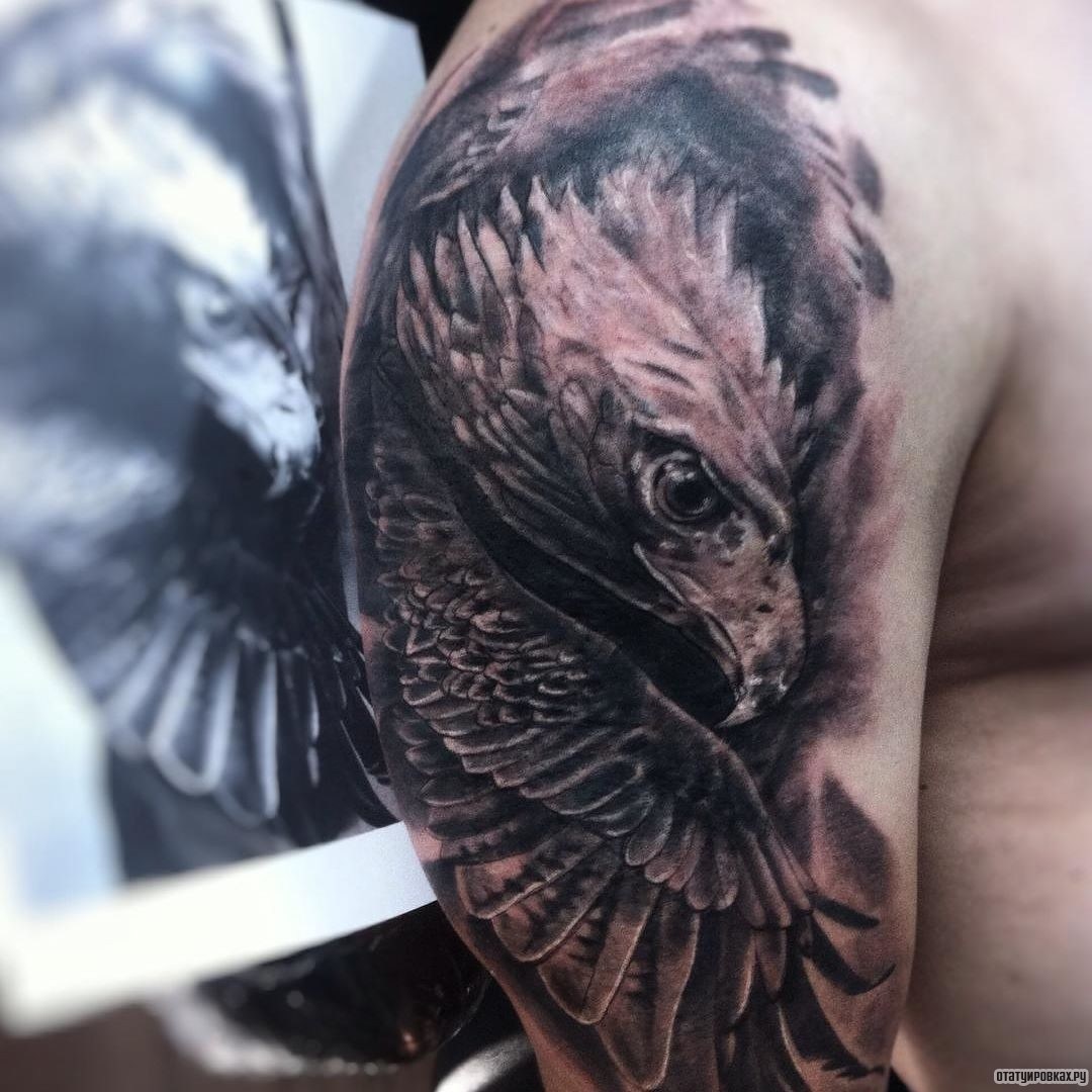 Фотография татуировки под названием «Сокол и крылья»