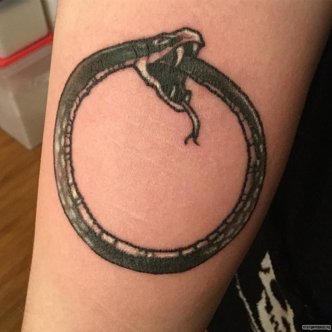 Фотография татуировки под названием «Уроборос из змеи»