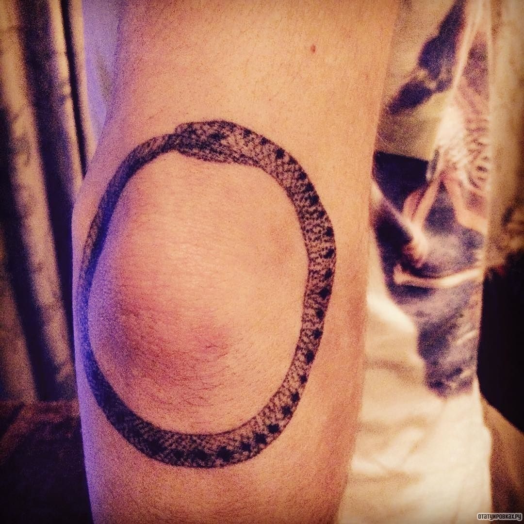 Фотография татуировки под названием «Уроборос вокруг локтя»