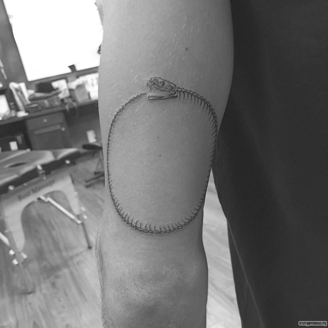 Фотография татуировки под названием «Уроборос в виде скелета змеи»