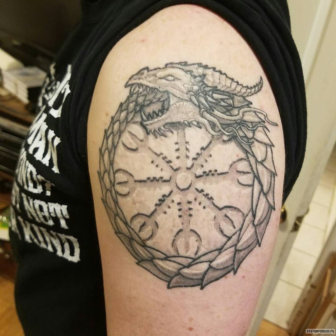 Фотография татуировки под названием «Уроборос как дракон вокруг руны»