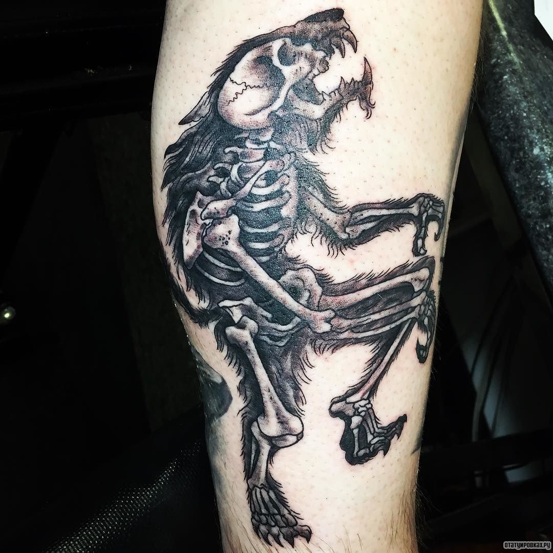 Фотография татуировки под названием «Скелет оборотня»