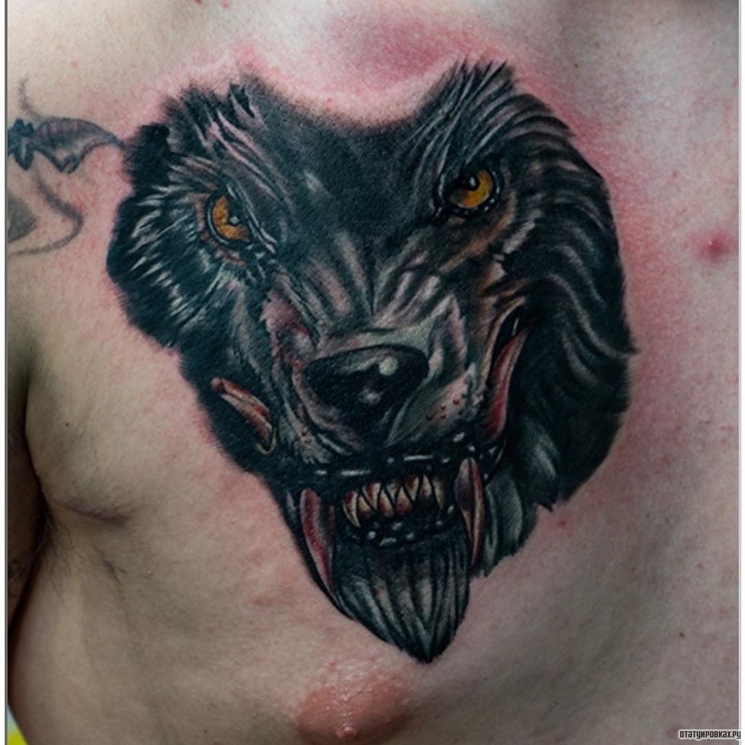Фотография татуировки под названием «Оборотень и его клыки»
