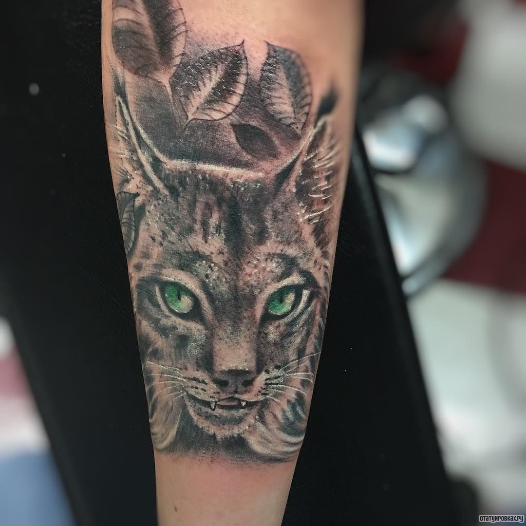 Фотография татуировки под названием «Рысь с зелеными глазами»