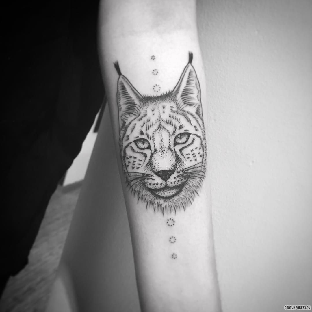 Фотография татуировки под названием «Рысь с кружками»