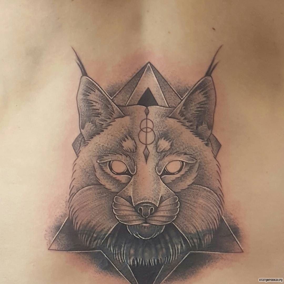 Фотография татуировки под названием «Рысь в треугольнике»