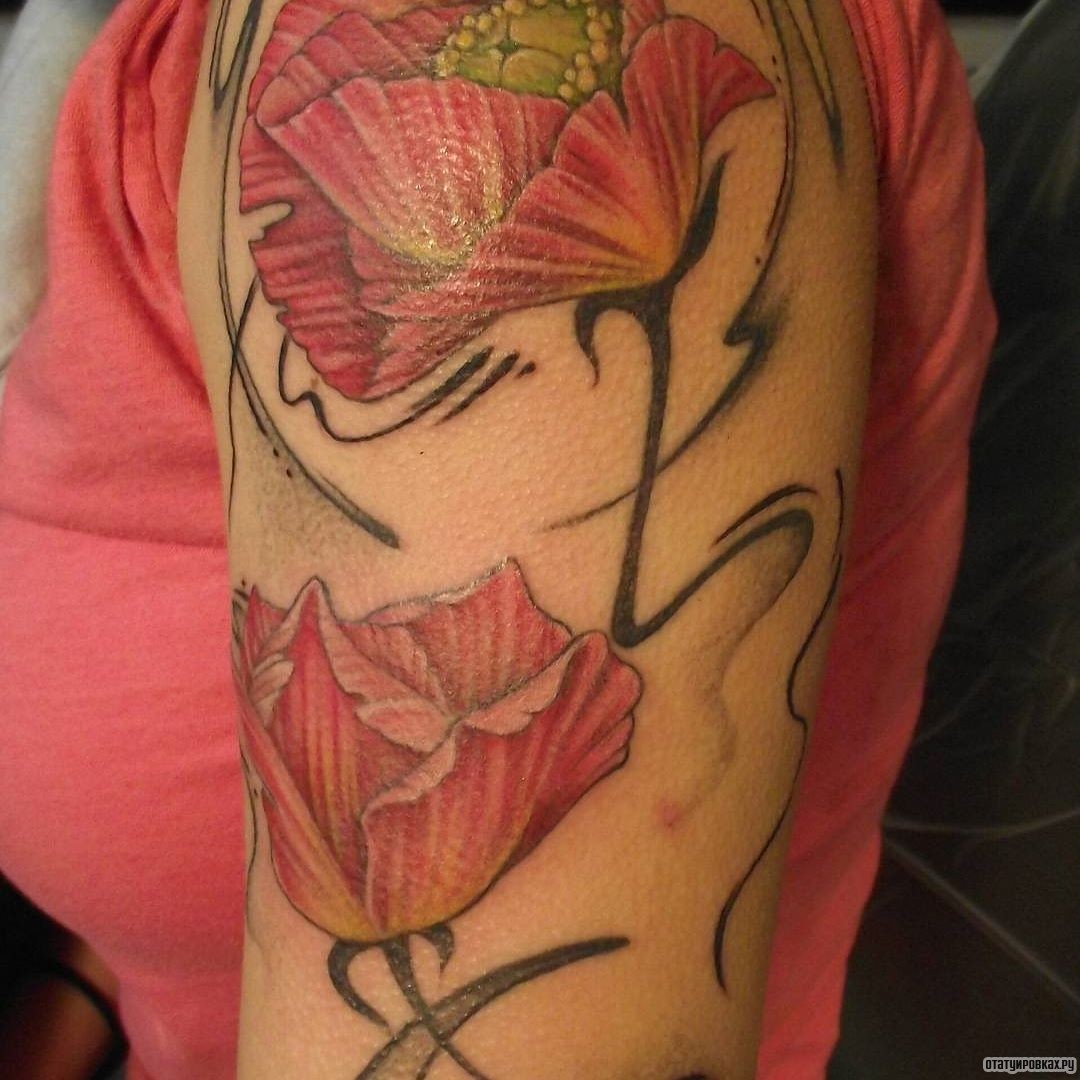 Фотография татуировки под названием «Два цветка красного мака»