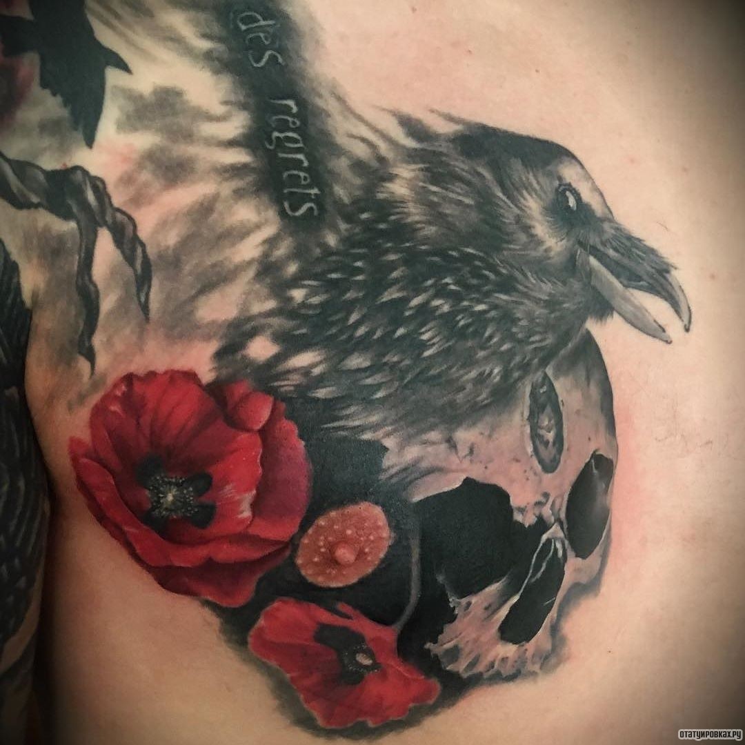 Фотография татуировки под названием «Мак с вороной»