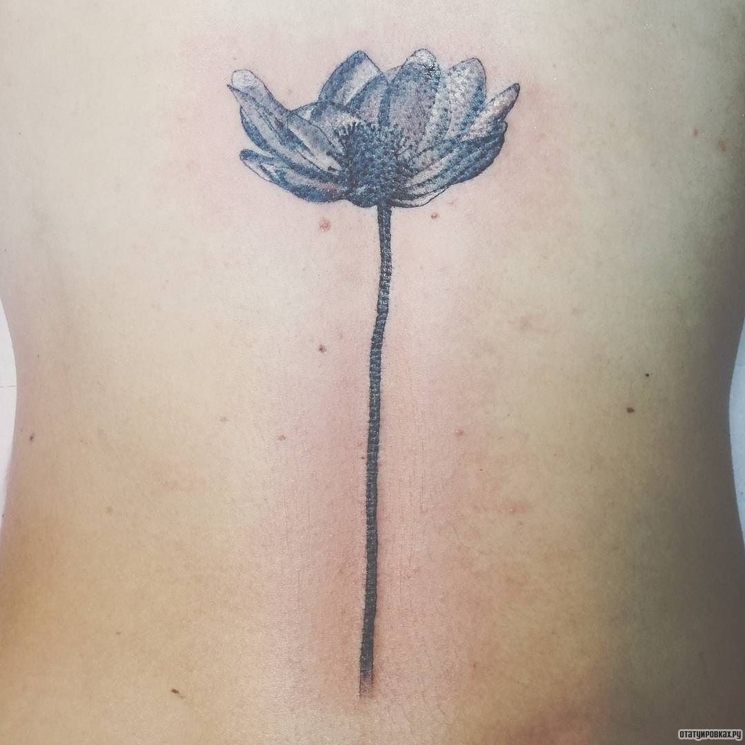 Фотография татуировки под названием «Тонкий цветок мака»