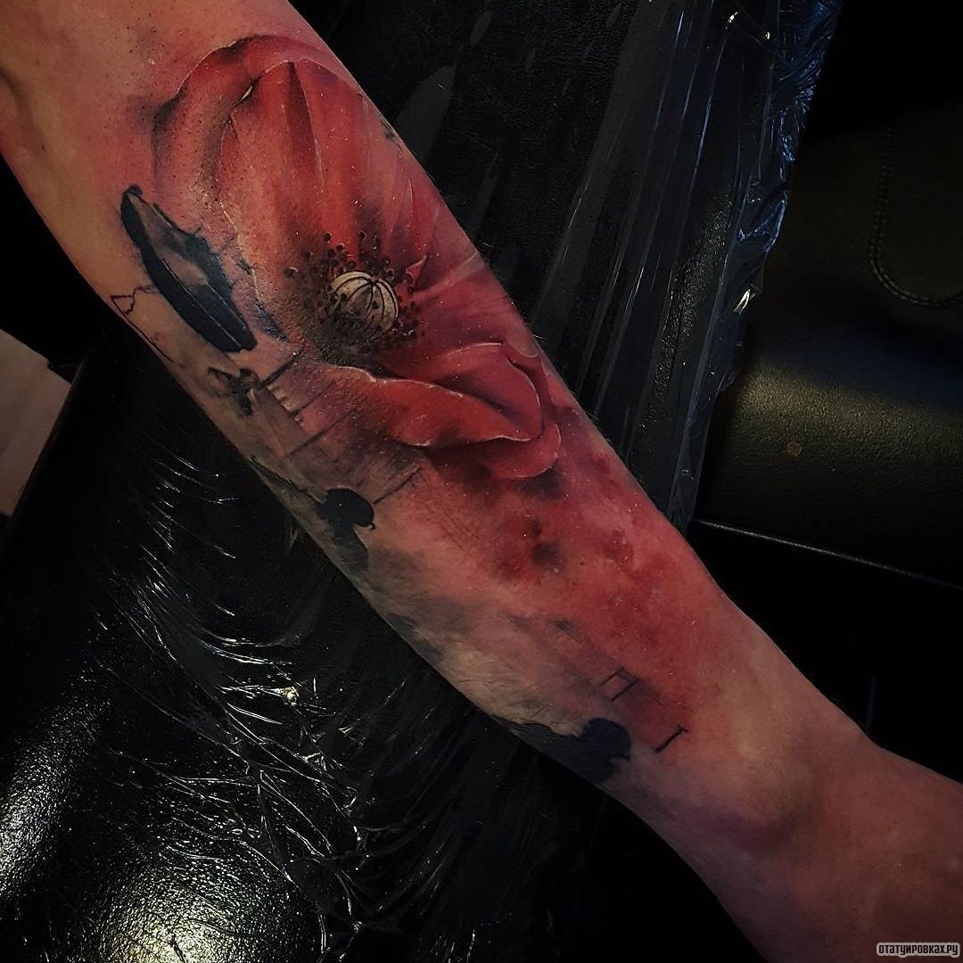 Фотография татуировки под названием «Реалистичный цветок мака»
