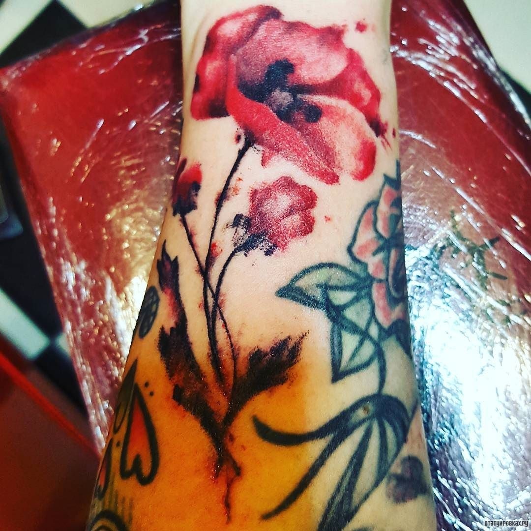 Фотография татуировки под названием «Мак цветок»