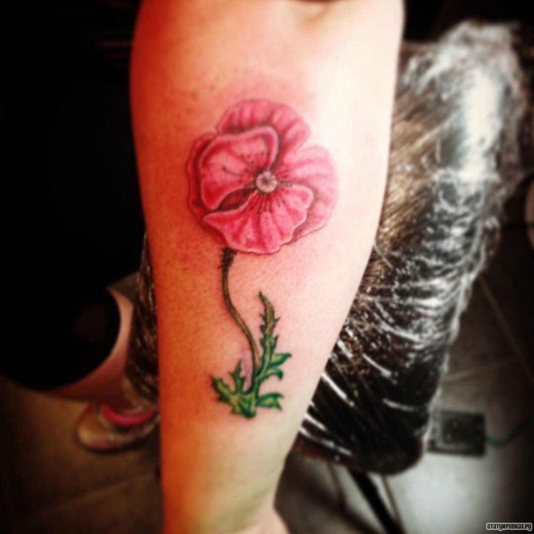 Фотография татуировки под названием «Мак с зеленым лепестком»