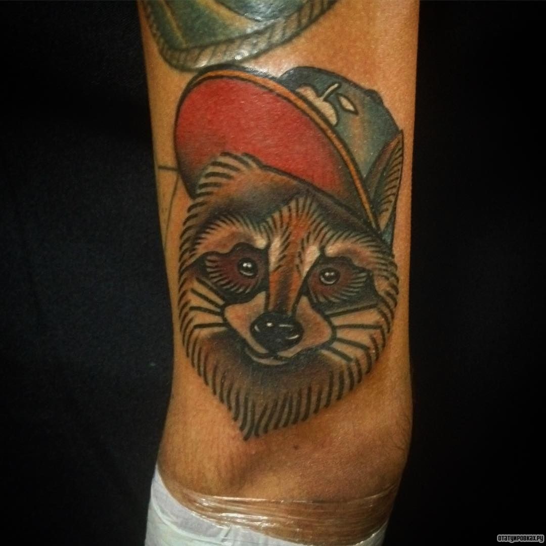 Фотография татуировки под названием «Енот в кепке»